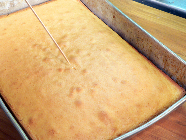 19_M-Ruths-Strawberry-Cake_test-for-doneness