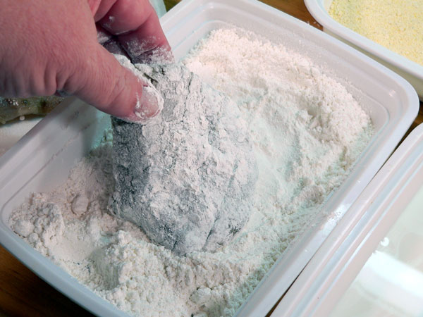 Blue-Fish_08_dredge-flour Bluefish Recipe, dredge in flour first.