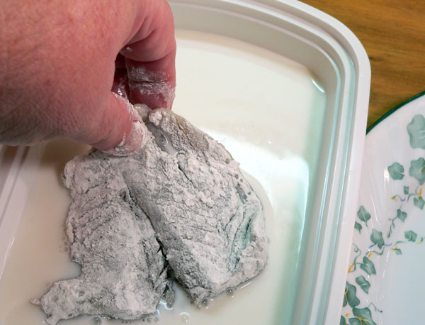 Blue-Fish_09_dredge-milk Bluefish Recipe, dredge in milk.
