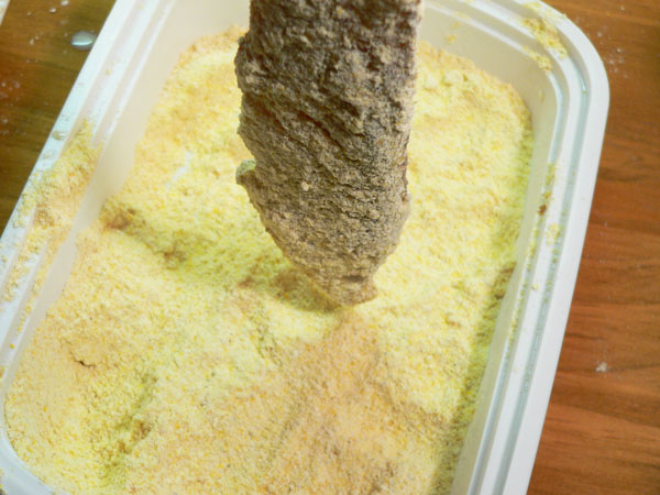 Blue-Fish_19_dredge-cornmeal Bluefish Recipe, dredge in cornmeal.