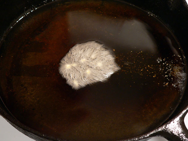 Blue-Fish_22_oil-test-for-hotness Bluefish Recipe, oil test for hotness.