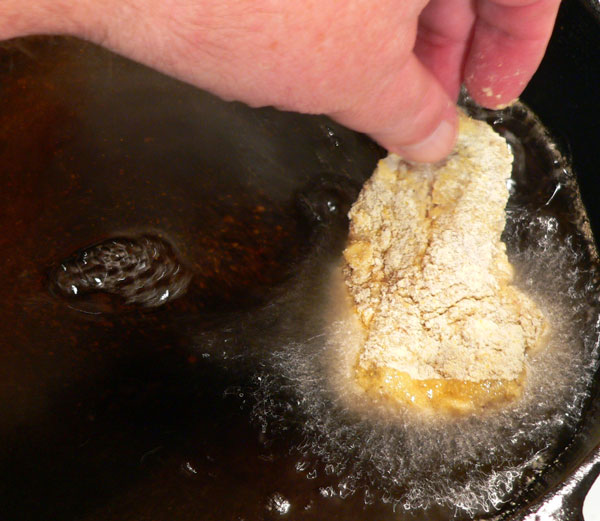 Blue-Fish_23_add-fish Bluefish Recipe, carefully add the filets.