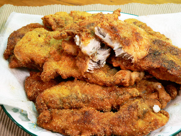 Blue-Fish_27_serve Bluefish Recipe, serve warm and enjoy.