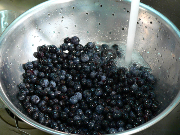 Blueberry-Pie_02_rinse-the-berries Blueberry Pie, prepare the berries.