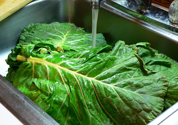 Collard-Greens_washing_03