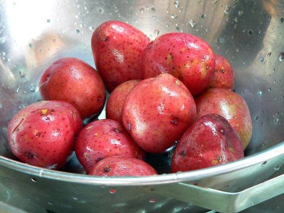 Garlic-Dill-New-Potatoes-wash-02 Start by washing your potatoes