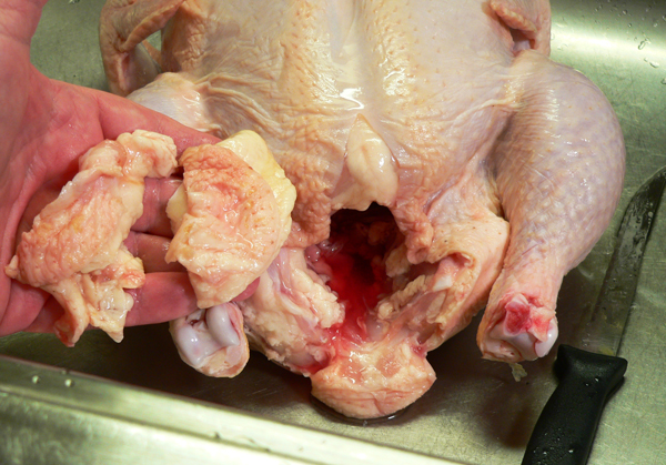 Roast Chicken, trim excess fat, and remove any giblets.