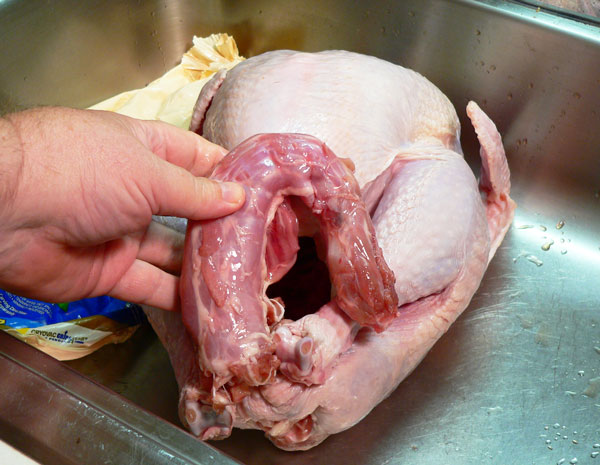Roast Turkey, remove any pieces from the body and neck cavity.