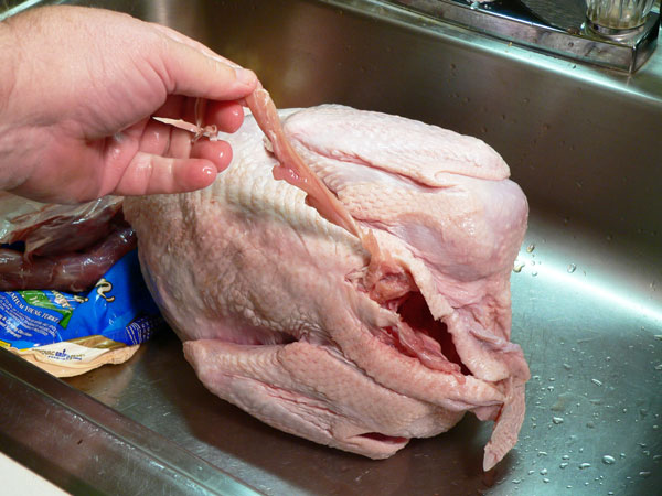 Roast Turkey, trim any loose skin.