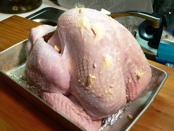 Roast Turkey, ready for the oven.