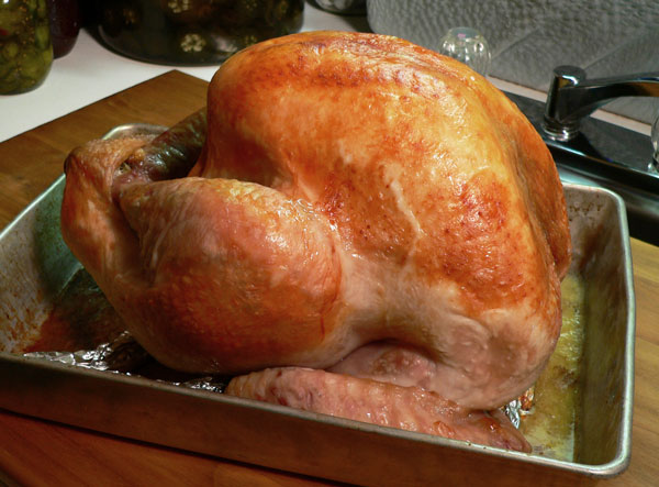Roast Turkey, after one hour.