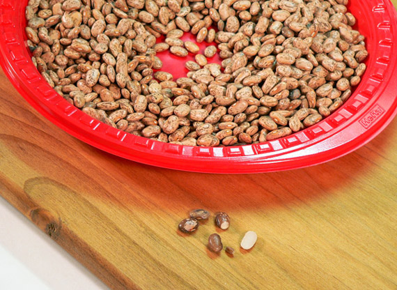 southern-pinto-beans-sort-03 Sorting the beans