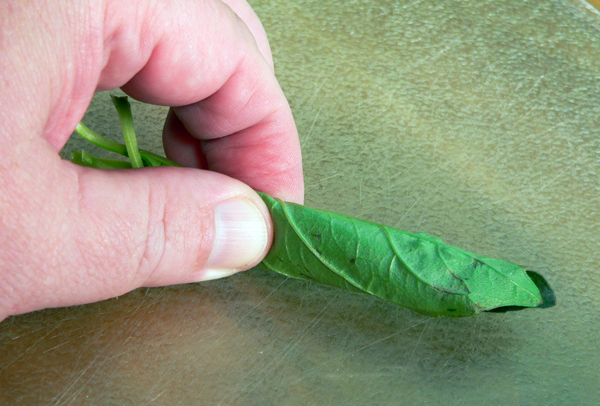 Tomato-Pie_06_roll-the-leaves Tomato Pie Recipe,